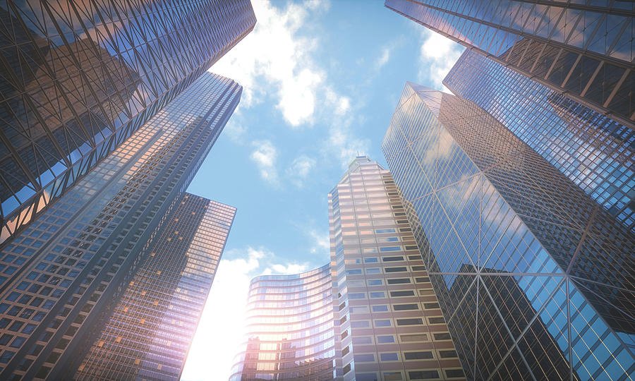 Business Insights & Growth